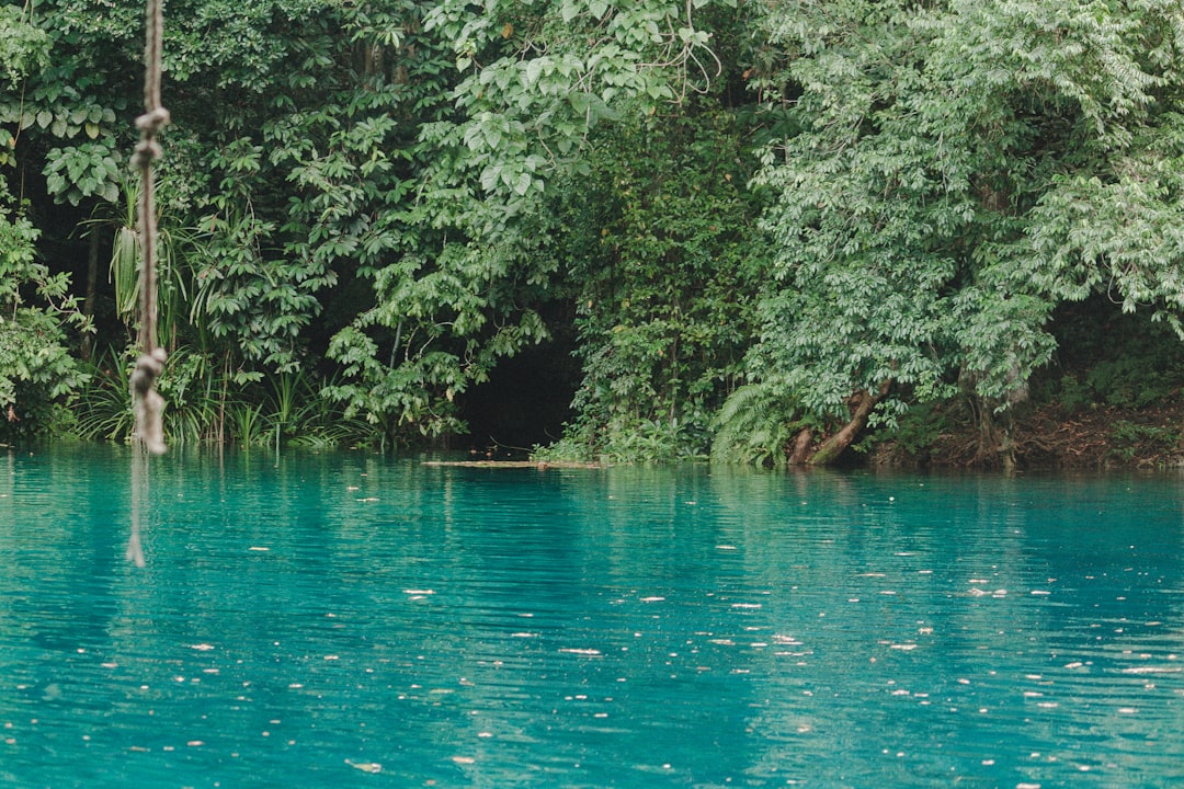 El Gran Agujero Azul: Un Paraíso Submarino en Belice | Secret World Trip Planner