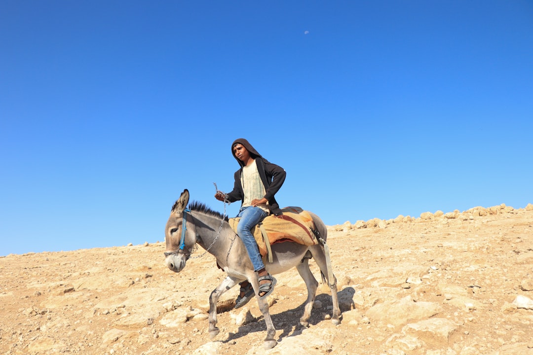 Termas no Deserto da Judeia: Uma Experiência Única | Secret World Trip Planner