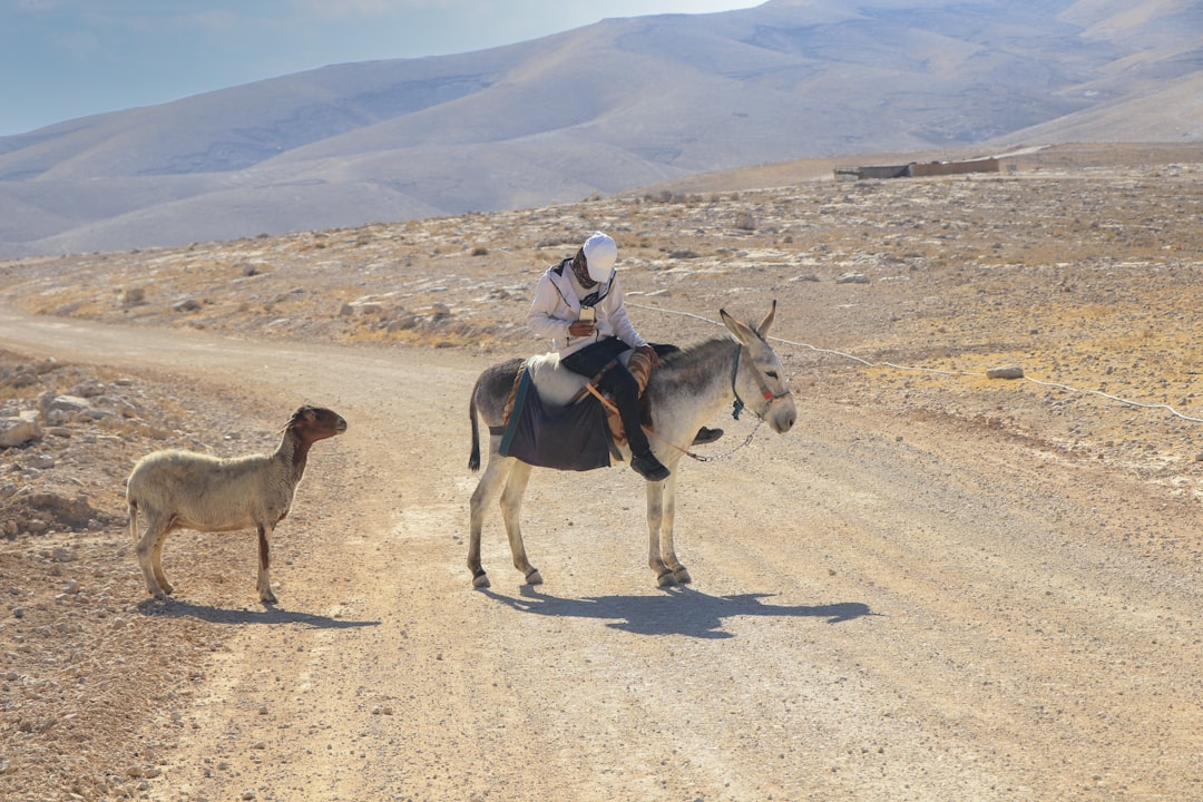 Termas no Deserto da Judeia: Uma Experiência Única | Secret World Trip Planner