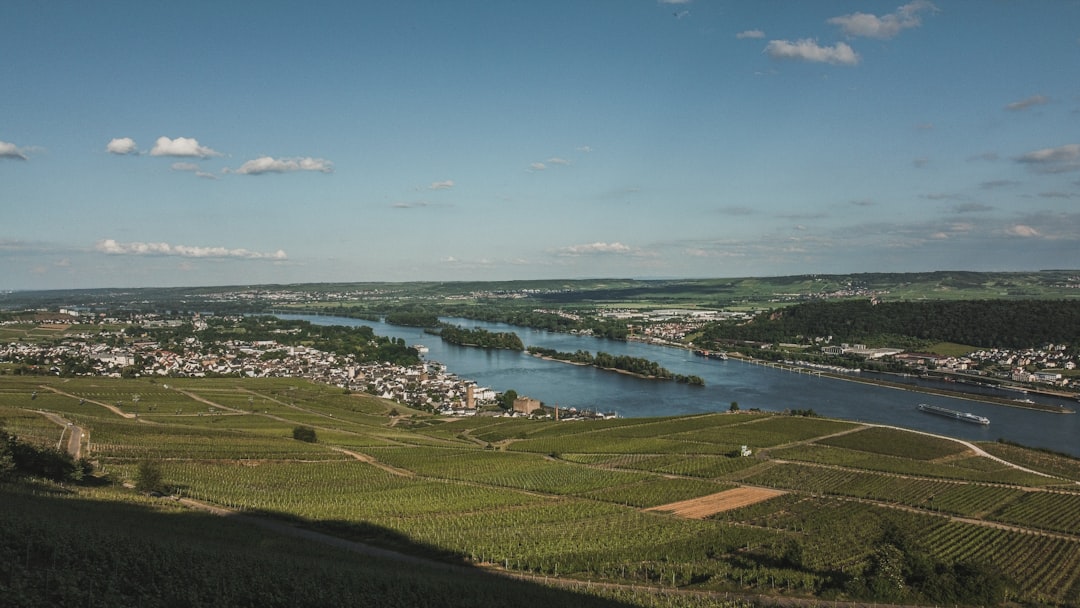 Entdecken Sie die seltenen Rieslinge von Rüdesheim - Am Niederwald 3 | Secret World Trip Planner