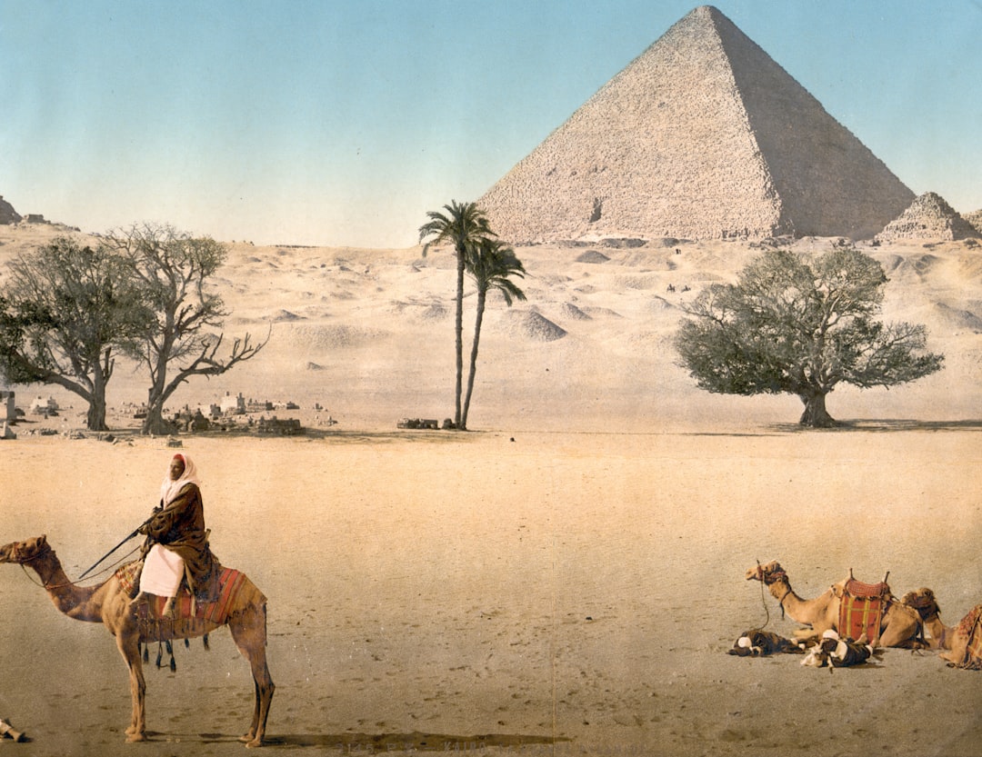 Entdecke Kawm Hufayn: ein Naturjuwel in Ägypten - Amreya 1 | Secret World Trip Planner