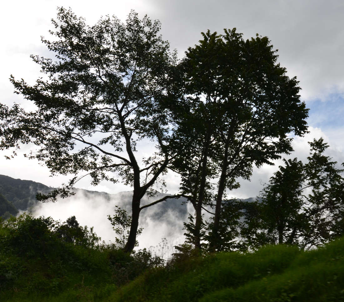Découvrez le Cerro San José : un bijou naturel au Costa Rica — Abangares