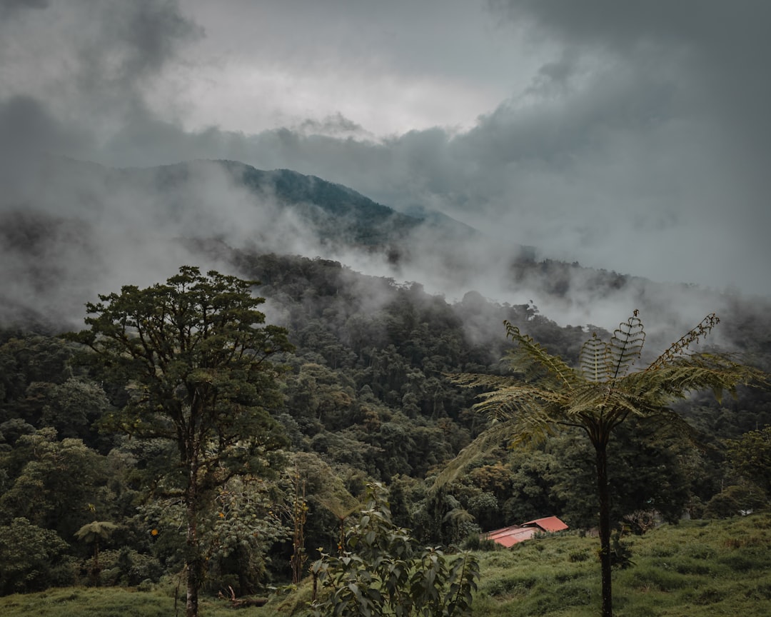 Entdecken Sie den Cerro Cedral: ein Naturjuwel in Costa Rica - San Antonio | Secret World Trip Planner