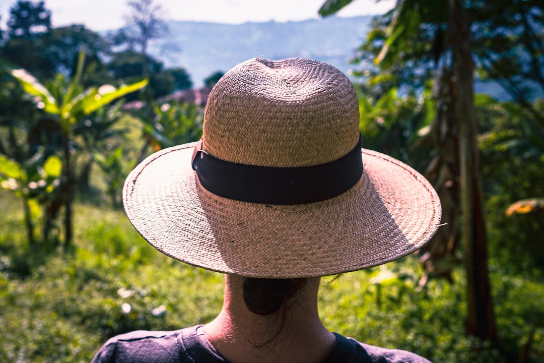 Cerro Gandi: Un Paradiso Naturale in Panama | Secret World Trip Planner