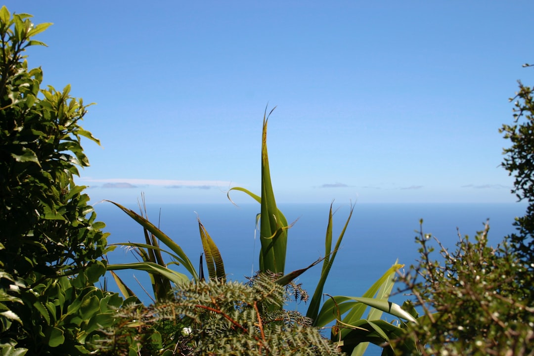 Magical Trails of the Kapiti Coast - Kapiti | Secret World Trip Planner