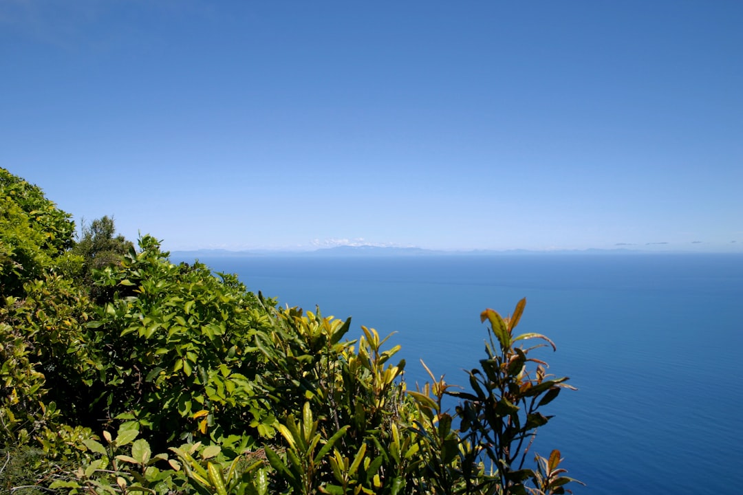 カピティ海岸の魔法の小道 - Kapiti | Secret World Trip Planner