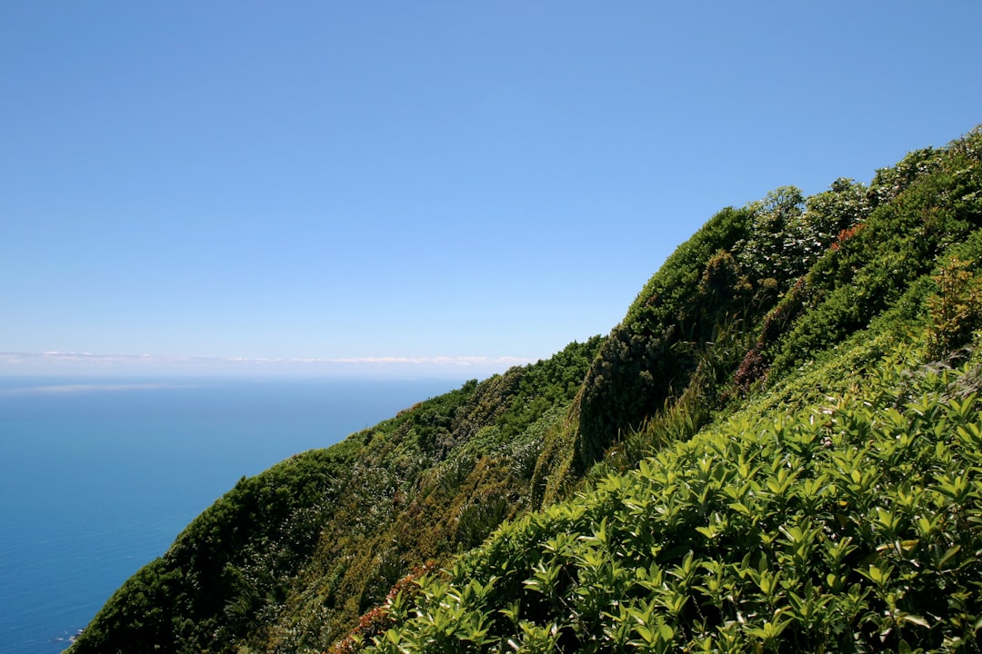 卡皮提海岸的魔幻小径 - Kapiti | Secret World Trip Planner