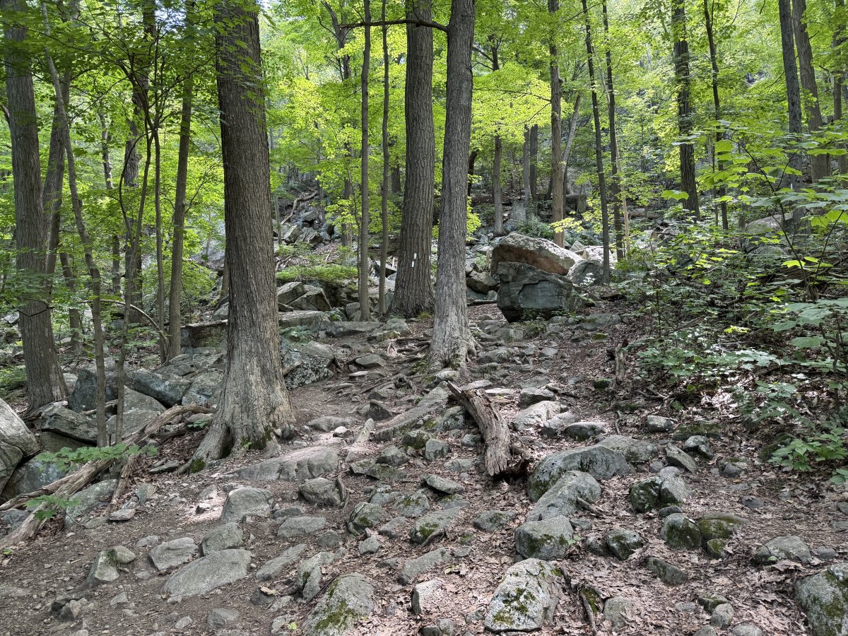 Explorer le Sentier des Appalaches : Une Randonnée Infinie | Secret World Trip Planner