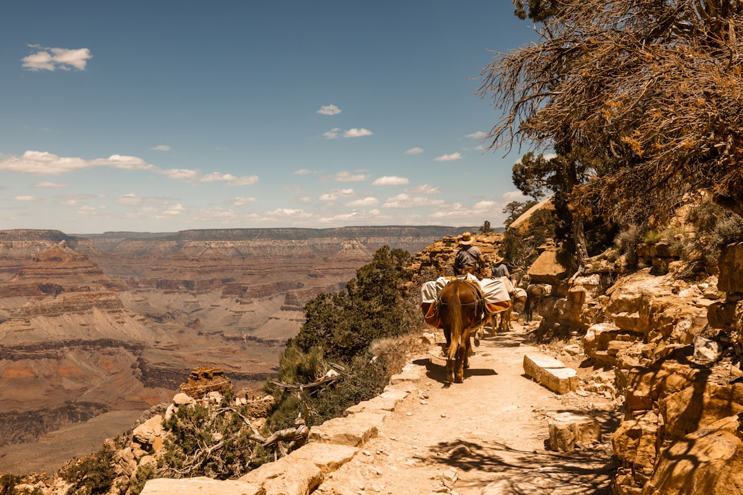 Descubre el Rim Trail: Un Viaje Inolvidable en el Gran Cañón - Grand Canyon Village | Secret World Trip Planner