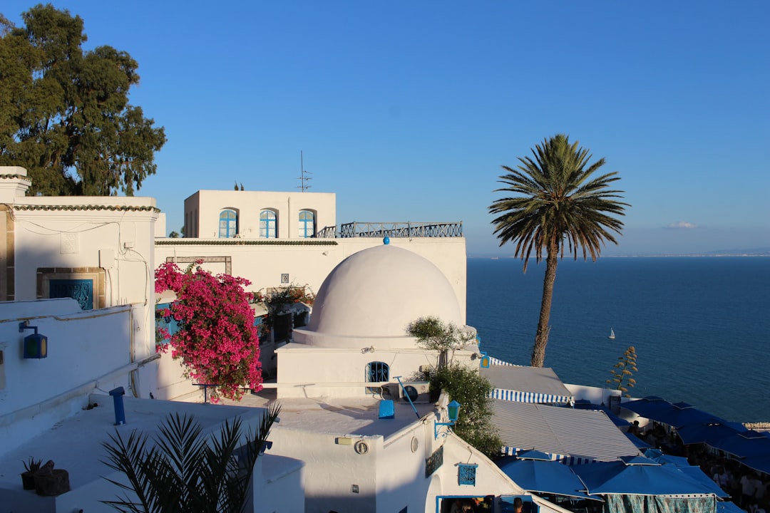 Sidi Bou Said: The Markets of a Enchanted Village - Sidi Bou Said | Secret World Trip Planner
