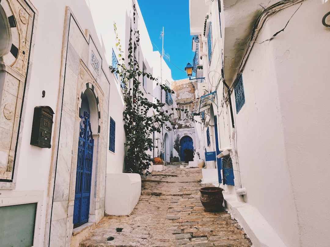 Sidi Bou Said: The Markets of a Enchanted Village - Sidi Bou Said | Secret World Trip Planner