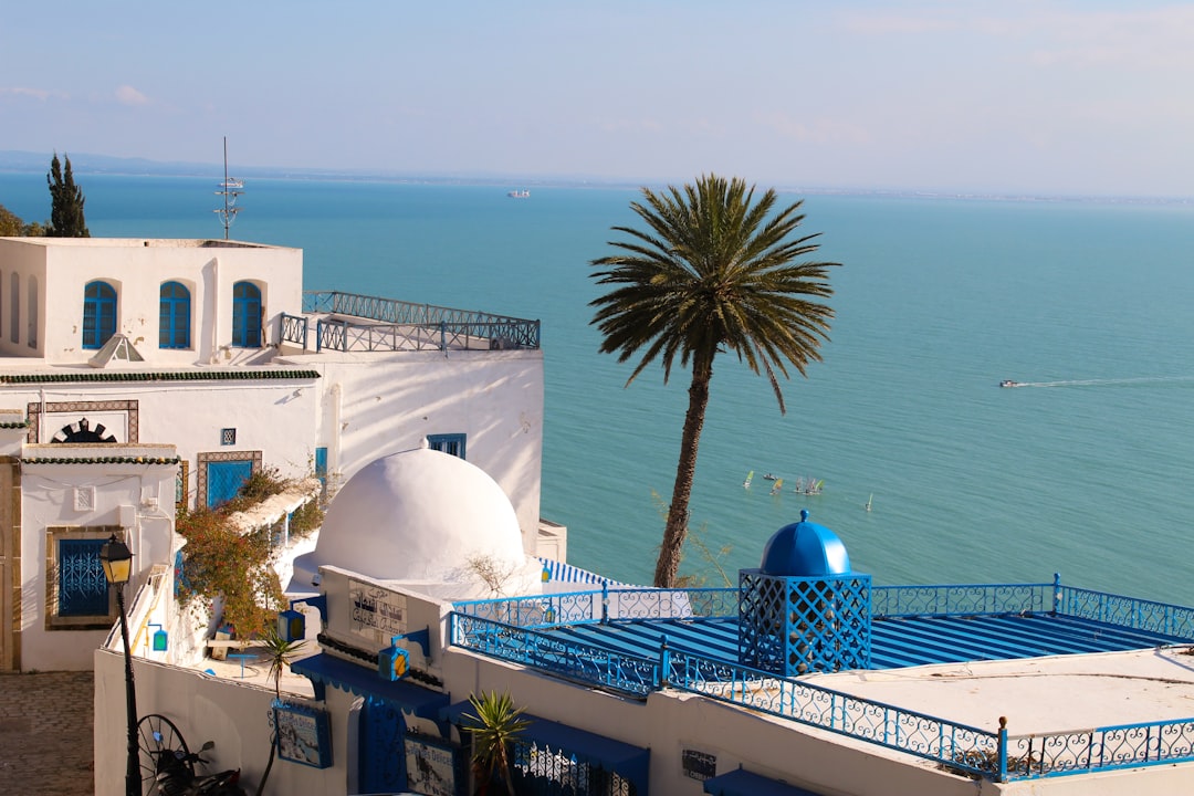 Сиди Бу Саид: Рынки волшебной деревни - Sidi Bou Said | Secret World Trip Planner