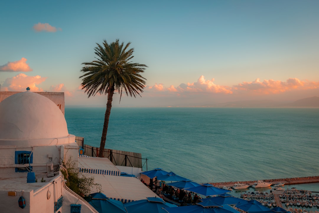 시디 부 사이드: 매혹적인 마을의 시장들 - Sidi Bou Said | Secret World Trip Planner