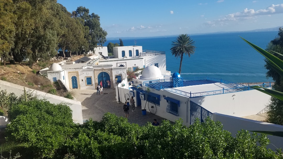 シディ・ブー・サイド：魅惑の村の市場 - Sidi Bou Said | Secret World Trip Planner