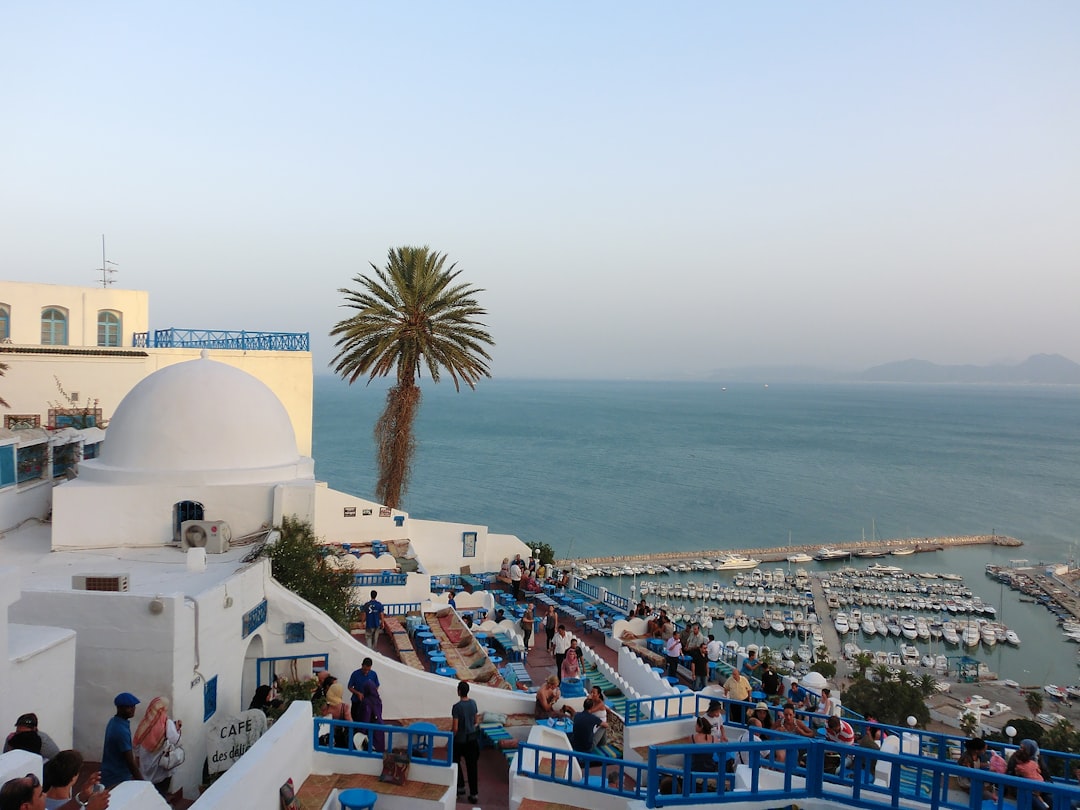シディ・ブー・サイド：魅惑の村の市場 - Sidi Bou Said | Secret World Trip Planner
