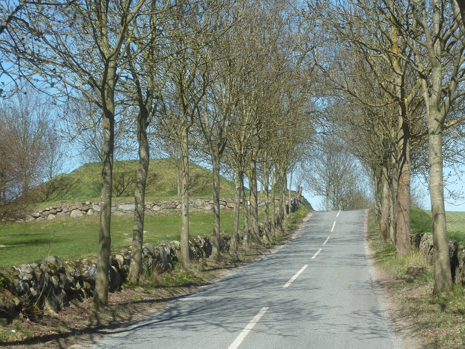 Discover Gyngehøj: a Historic Mound in Denmark - P795+CP Smorum | Secret World Trip Planner