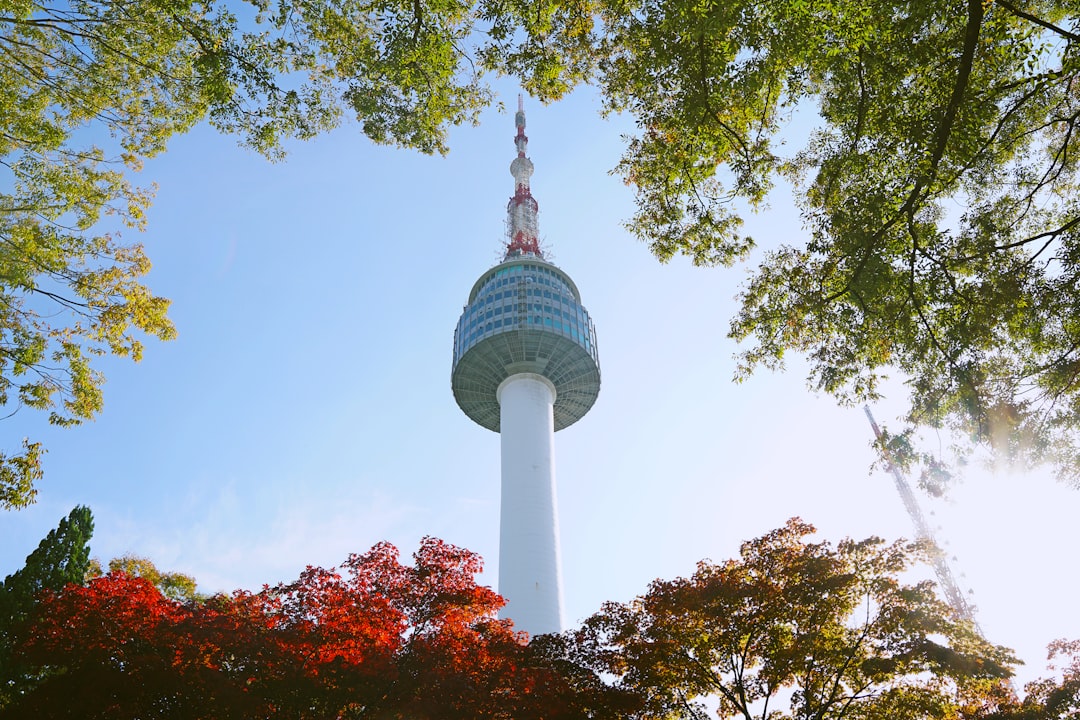 Atemberaubende Ausblicke vom Seoul Tower - Yongsan District | Secret World Trip Planner
