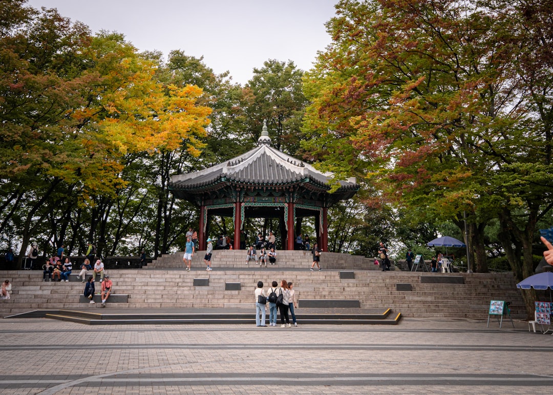 서울 타워에서 바라보는 숨막히는 경치 - Yongsan District | Secret World Trip Planner