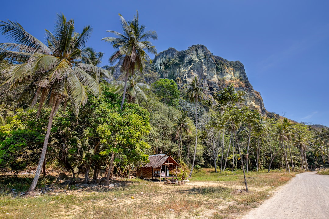 Cascades Cachées du Parc National Khlong Phanom - Amphoe Phanom | Secret World Trip Planner