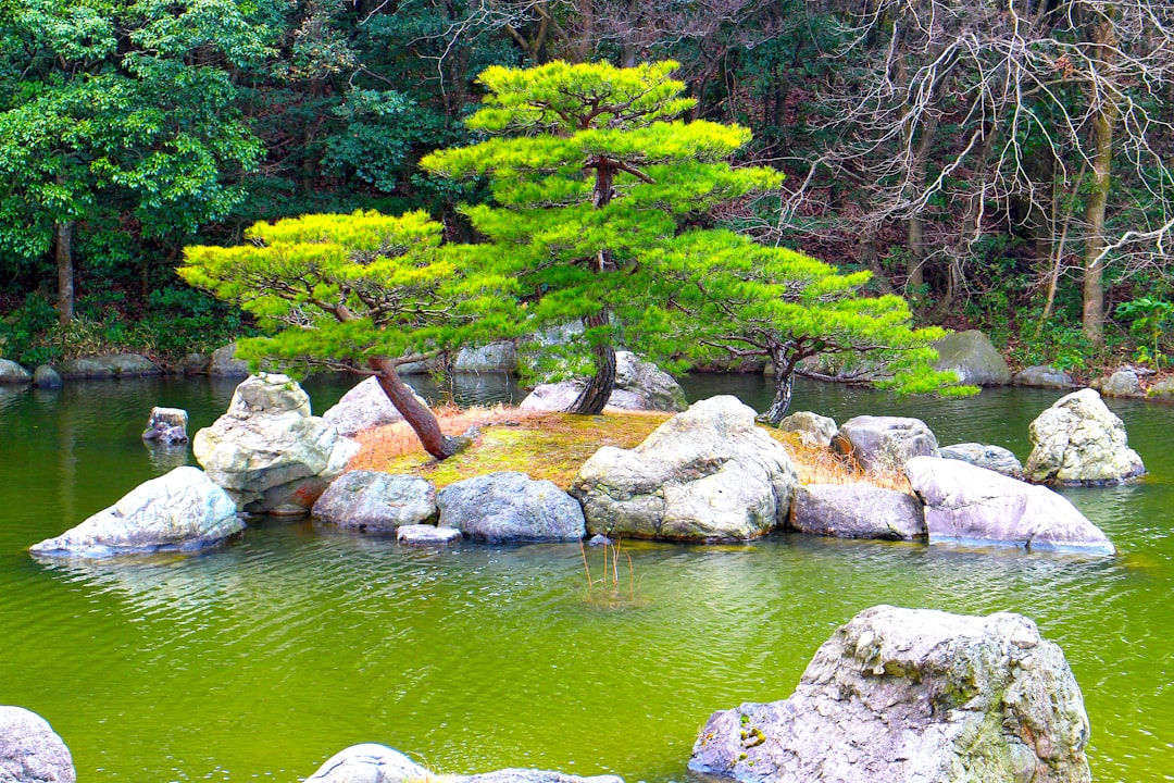 Suizenji Jojuen: A Secret Garden of Serenity - Kumamoto | Secret World Trip Planner