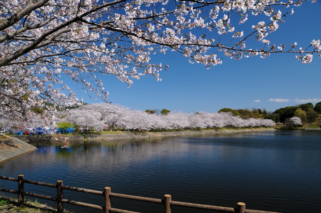 Suizenji Jojuen : Un Jardin Secret de Tranquillité - Kumamoto | Secret World Trip Planner