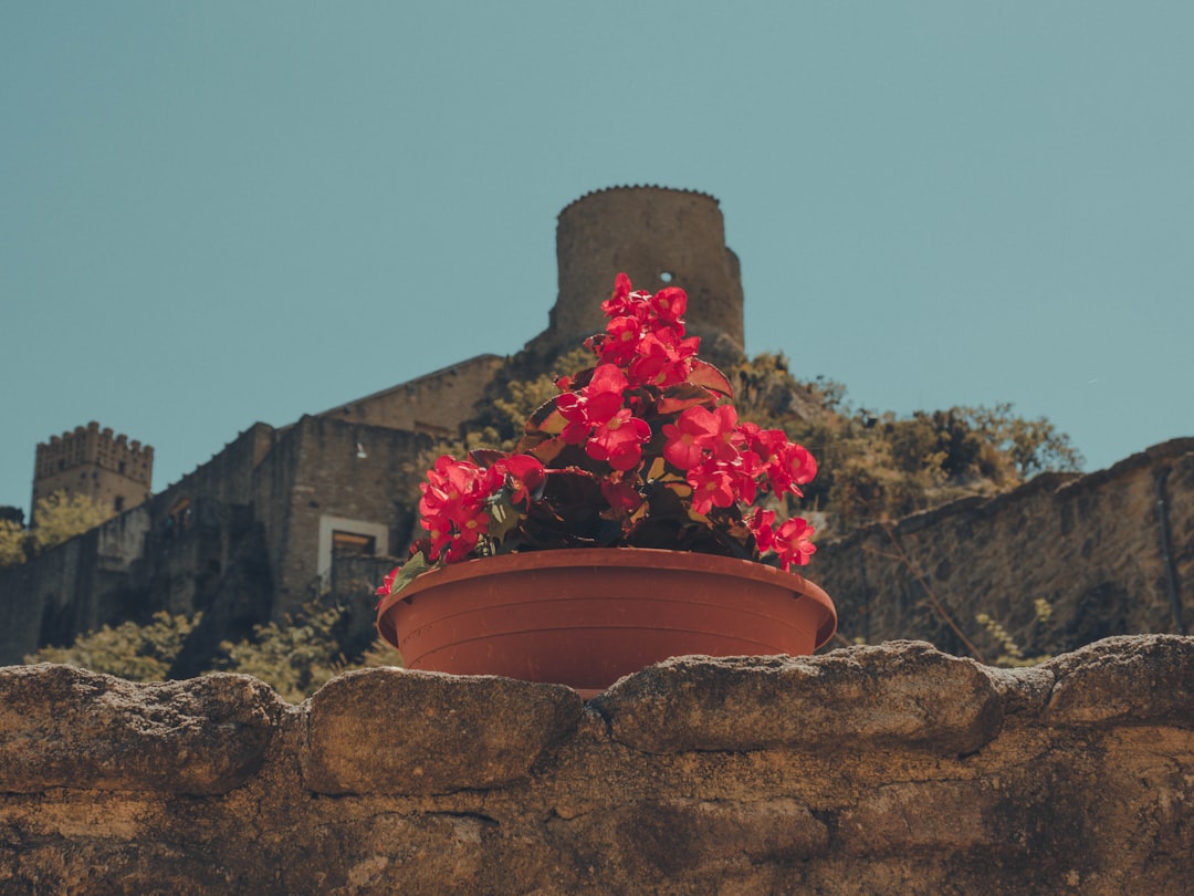 Castello Medieval de Roccascalegna: Un viaje en el tiempo - Piazza Umberto I | Secret World Trip Planner