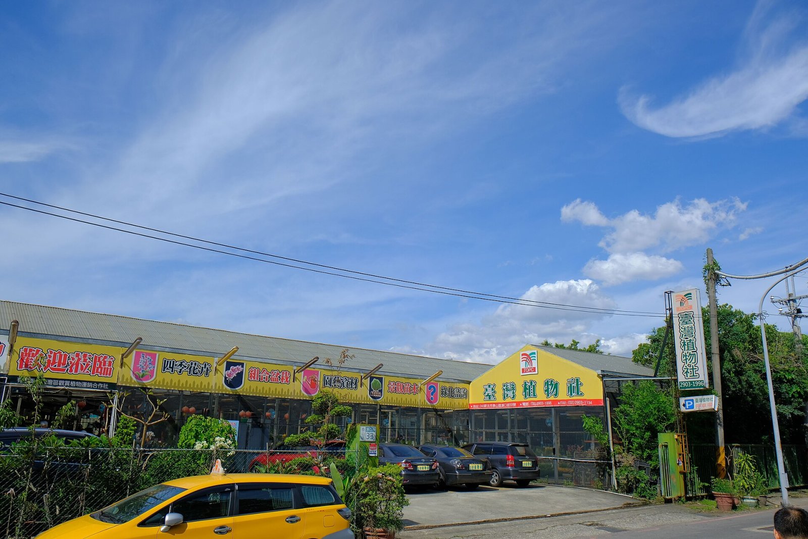 Entdecken Sie Taishan: Ein Naturparadies in Taiwan — Hongtou Village