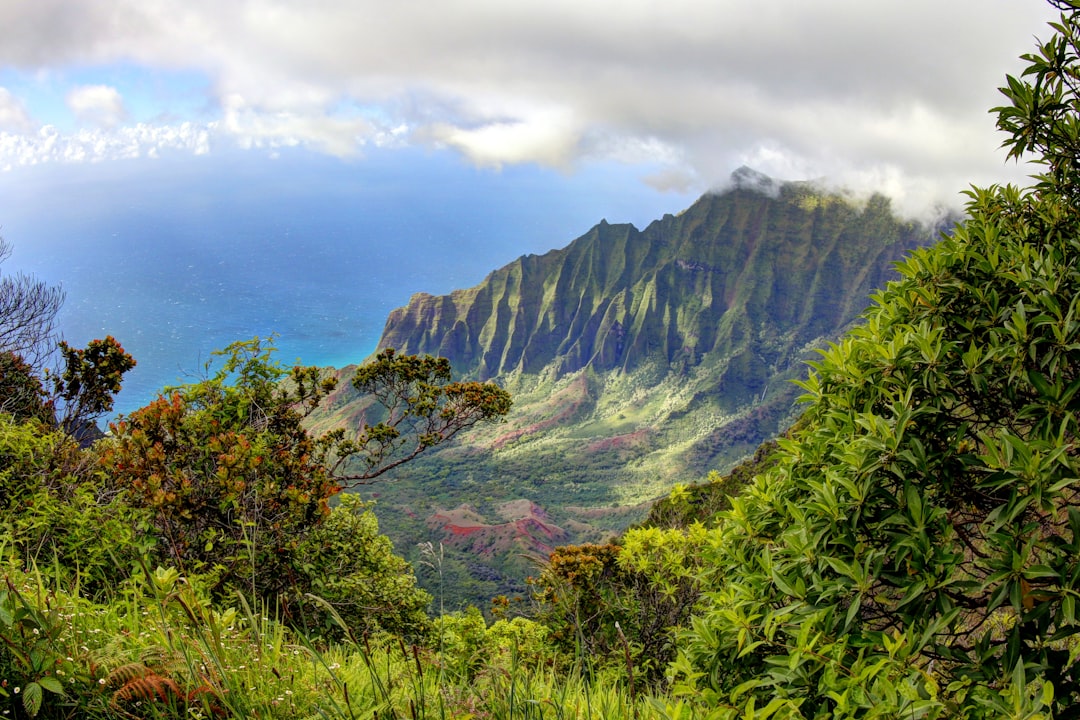 Découvrez les Plages de la Côte Nā Pali : Un Paradis Naturel - Contea di Kauai | Secret World Trip Planner
