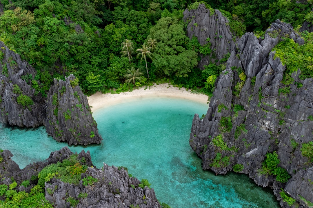 Descubre Kauapea Beach: La Joya Oculta de Kauai - Kauapea Beach | Secret World Trip Planner