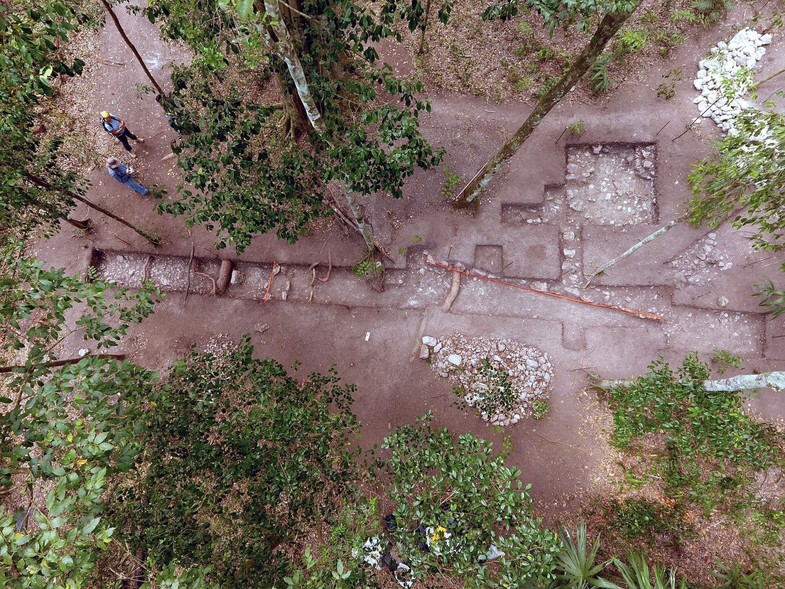 El Tintal: An Archaeological Treasure in the Heart of Guatemala - Chilar | Secret World Trip Planner