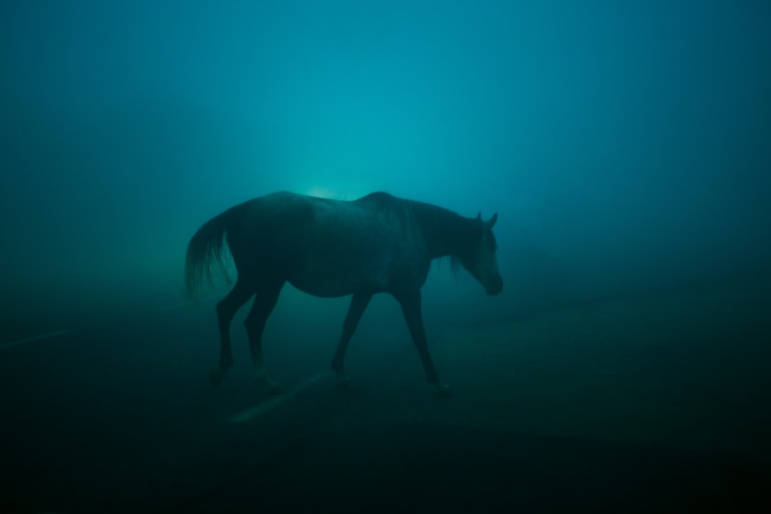 Il Cavallo Blu di Franz Marc: Arte e Natura a Zehdenick - Dorfanger 20 | Secret World Trip Planner