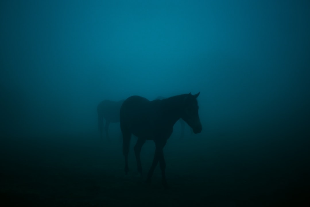 El Caballo Azul de Franz Marc: Arte y Naturaleza en Zehdenick - Dorfanger 20 | Secret World Trip Planner