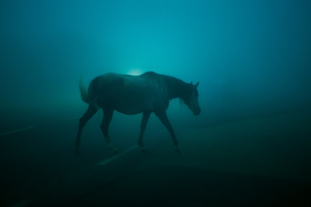 El Caballo Azul de Franz Marc: Arte y Naturaleza en Zehdenick - Dorfanger 20 | Secret World Trip Planner