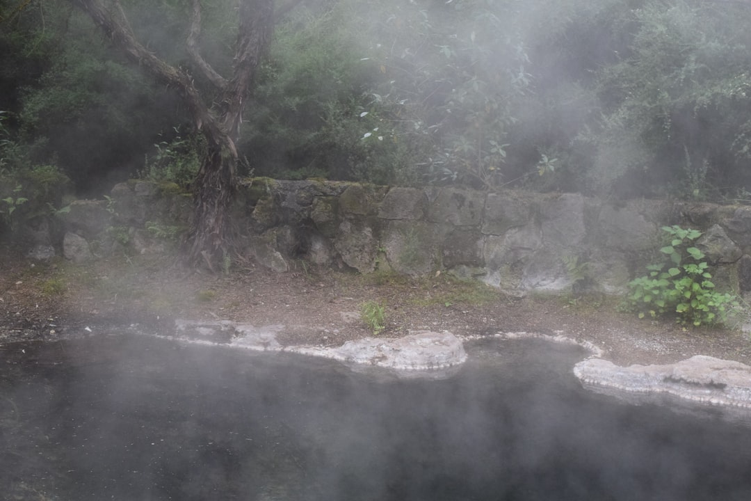Wai Ariki Hot Springs & Spa: Wellness in New Zealand - 1047 Whakaue Street | Secret World Trip Planner