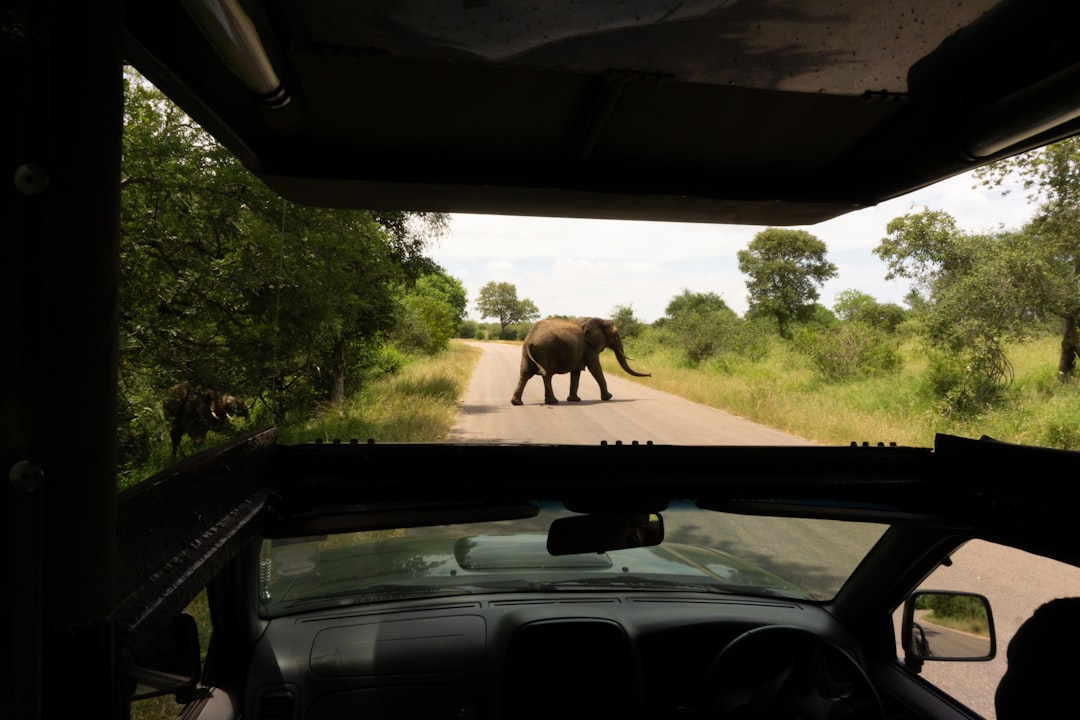 Scoprire la Biodiversità al Malelane Gate del Kruger - R570 | Secret World Trip Planner