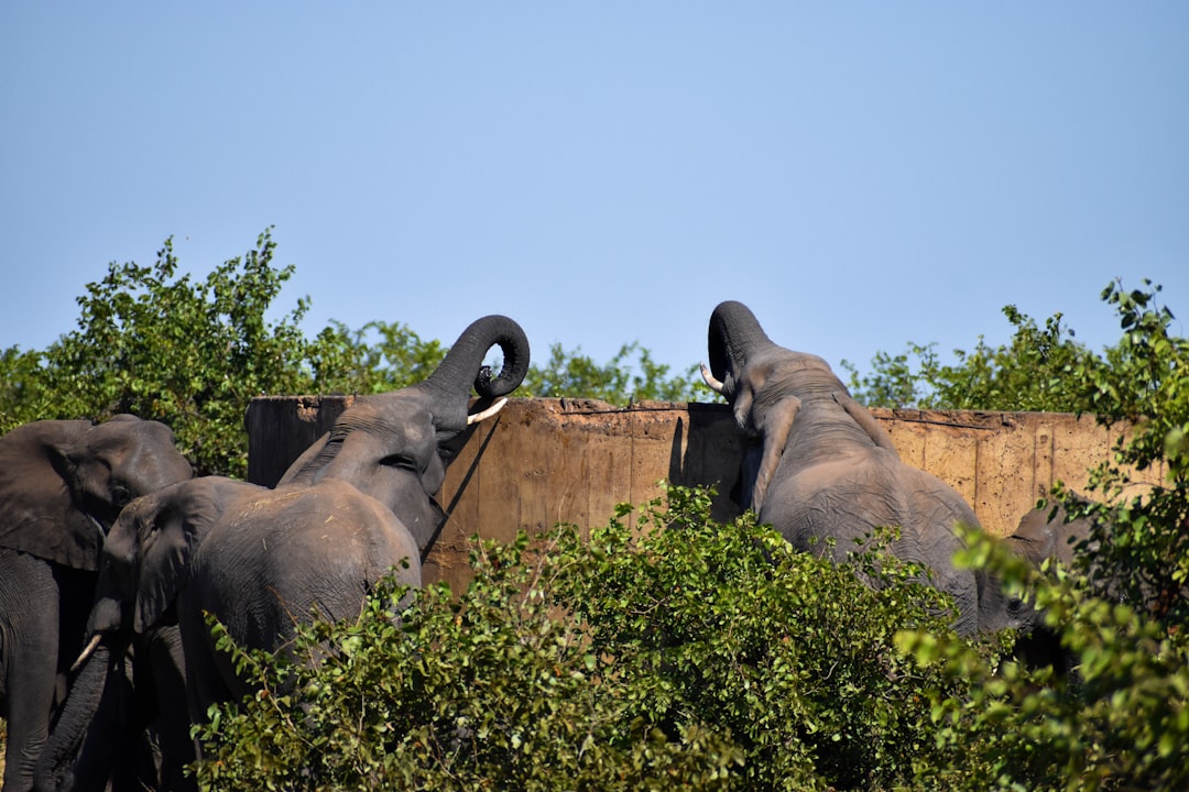Discover Biodiversity at Kruger’s Malelane Gate - R570 | Secret World Trip Planner