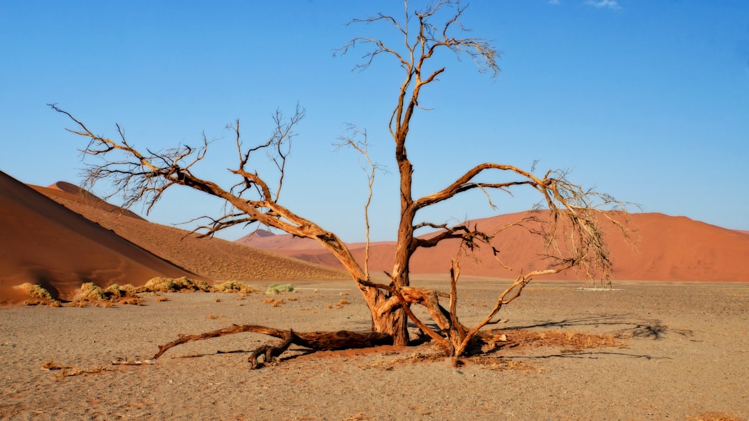 Duna 45 Sossusvlei: Encanto del Desierto Namib - Dune 45 Sossusvlei | Secret World Trip Planner