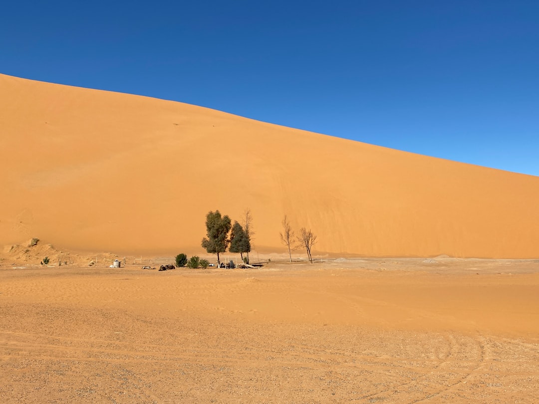 Дюна 45 Соссусвлей: Магия Намибийской Пустыни - Dune 45 Sossusvlei | Secret World Trip Planner
