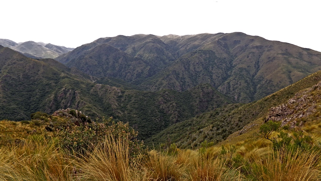 Sotto il Cielo Stellato della Sierra de San Pedro Mártir - Carretera Diaz Ordaz al Observatorio Km 84 | Secret World Trip Planner