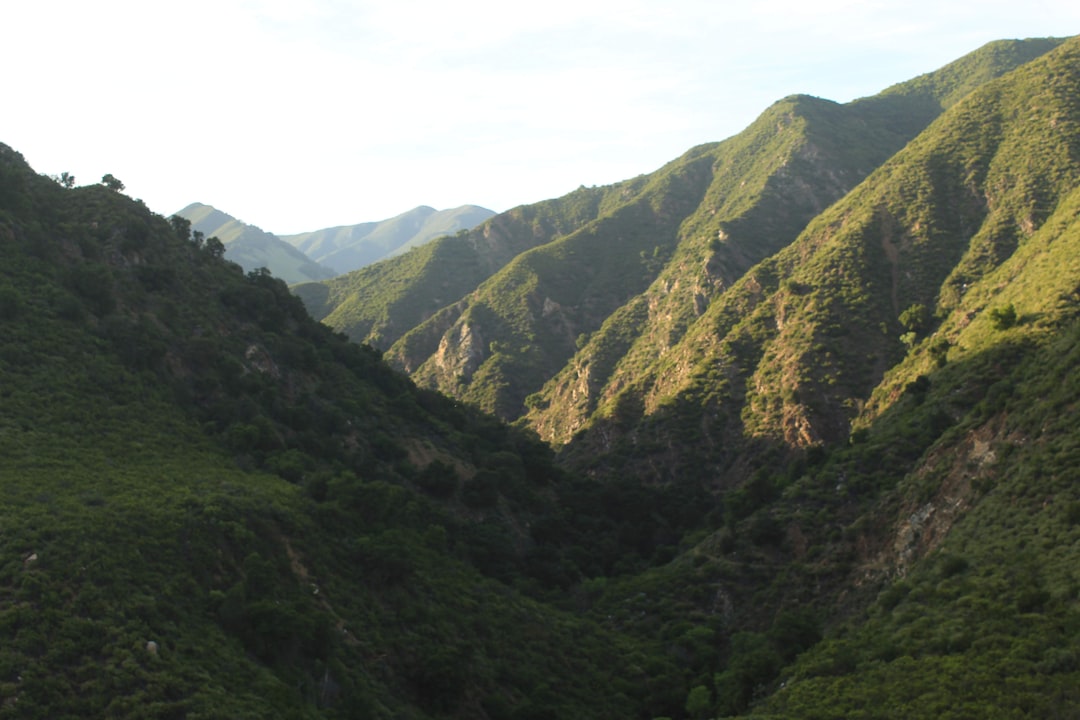 Bajo el Cielo Estrellado de la Sierra de San Pedro Mártir - Carretera Diaz Ordaz al Observatorio Km 84 | Secret World Trip Planner