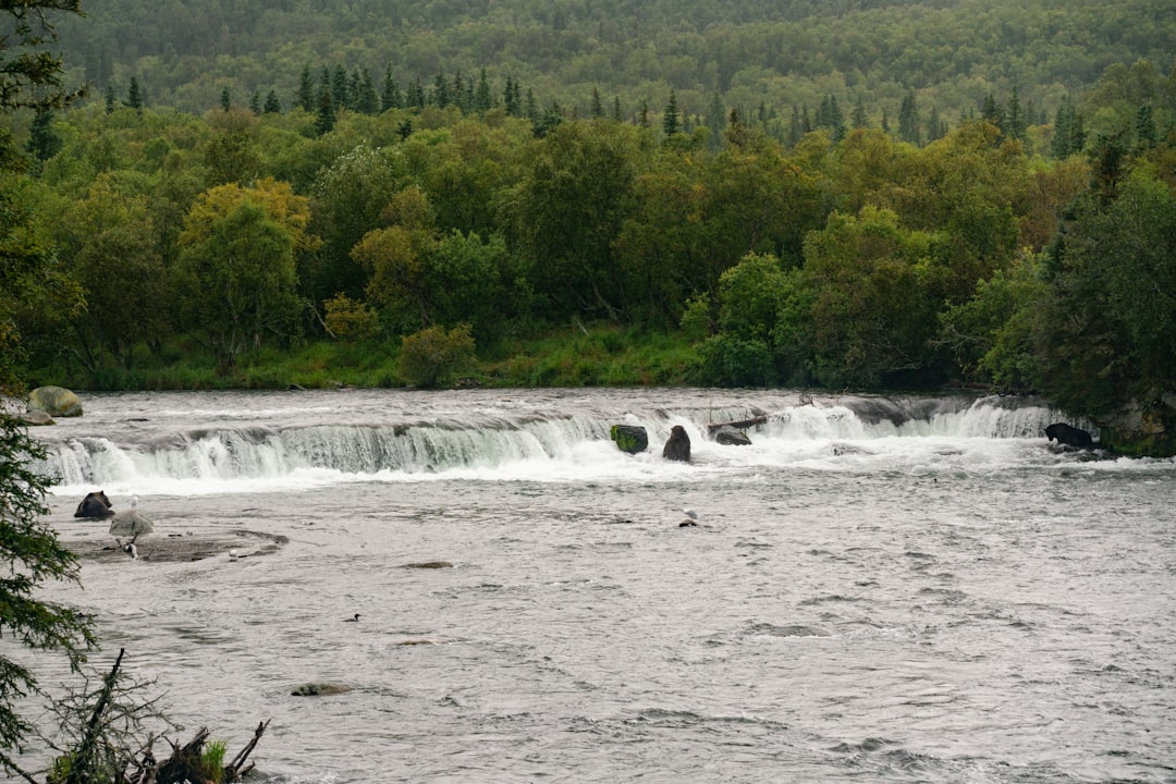 Chutes Fourgassier: Un Angolo Nascosto in Guyana Francese - JMFQ+VJJ | Secret World Trip Planner