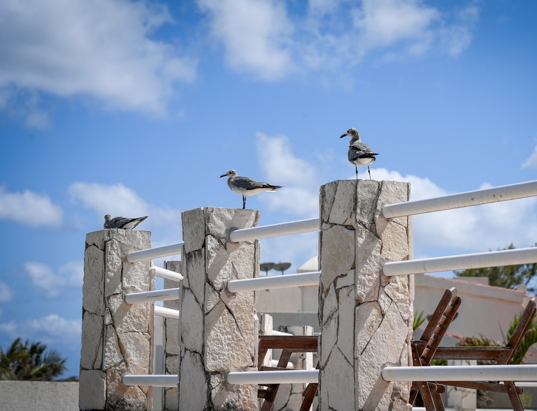 Secret World 2026 : Votre guide ultime à Cancún - Cancún | Secret World Trip Planner