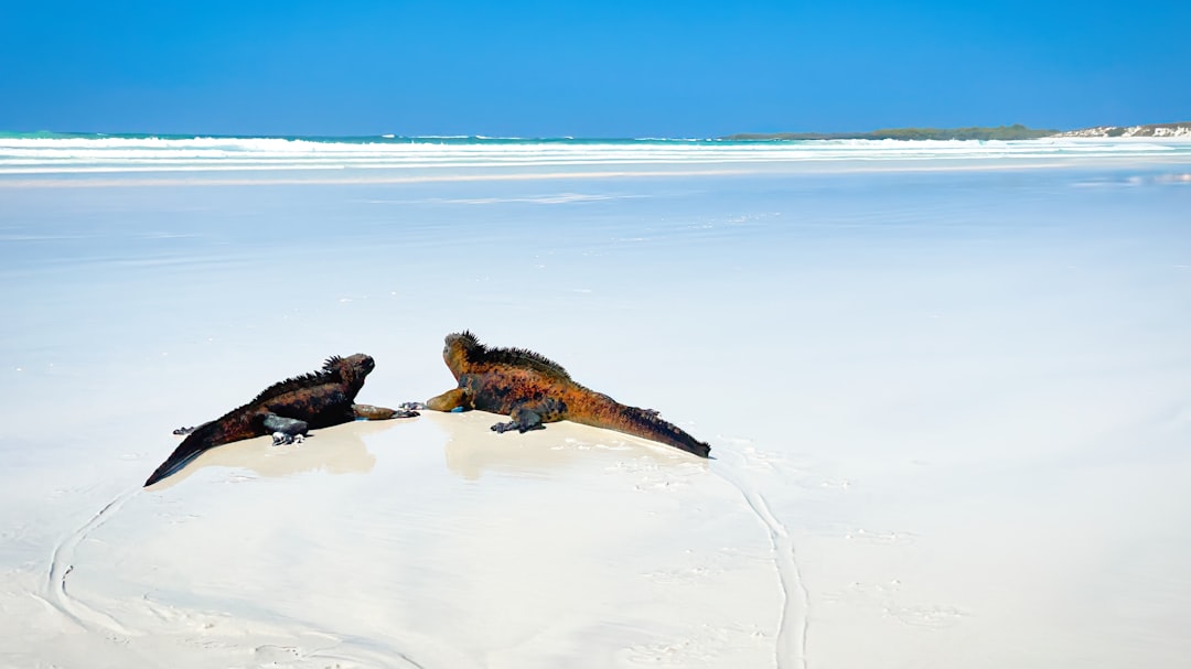Panoramas extraordinarios de Puerto Ayora: Un tesoro ecuatoriano - Puerto Ayora | Secret World Trip Planner