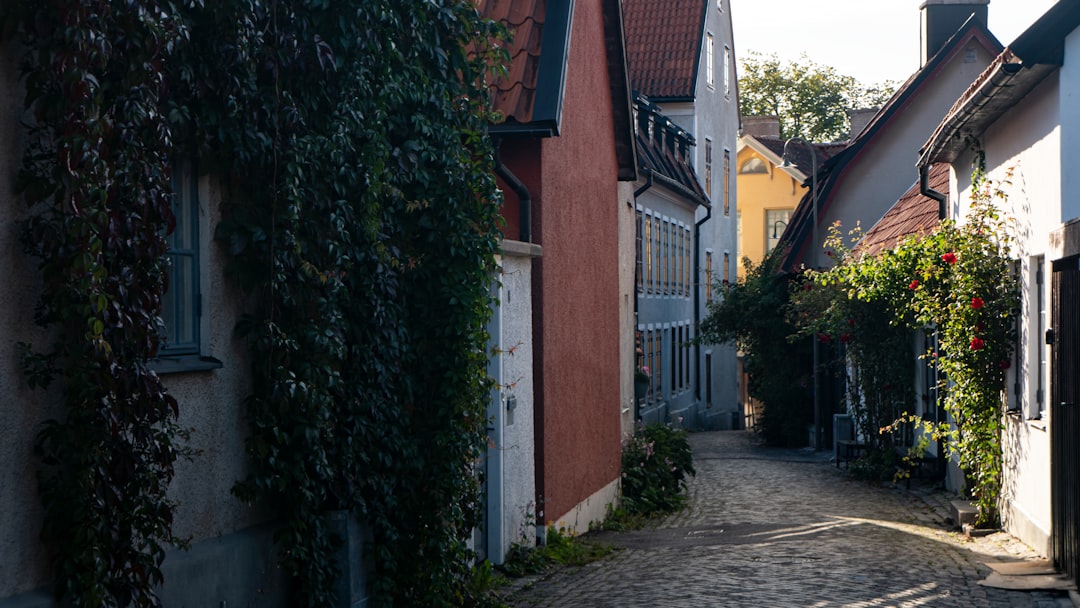 La Muraille de Visby : Plongée dans le Moyen Âge Suédois - 621 56 Visby | Secret World Trip Planner