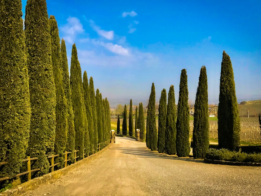 Montalcino: O Coração do Brunello - 53024 Montalcino SI | Secret World Trip Planner