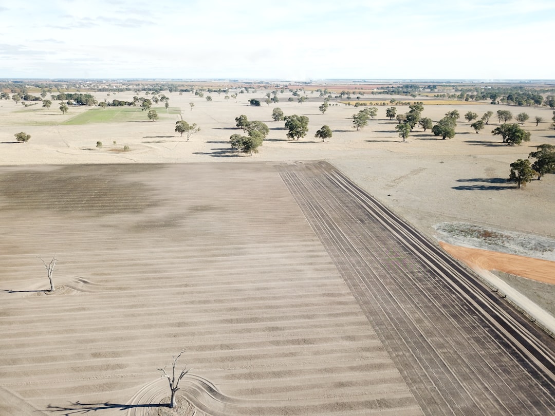 Coonawarra: Das Paradies für Cabernet Sauvignon - Coonawarra SA 5263 | Secret World Trip Planner