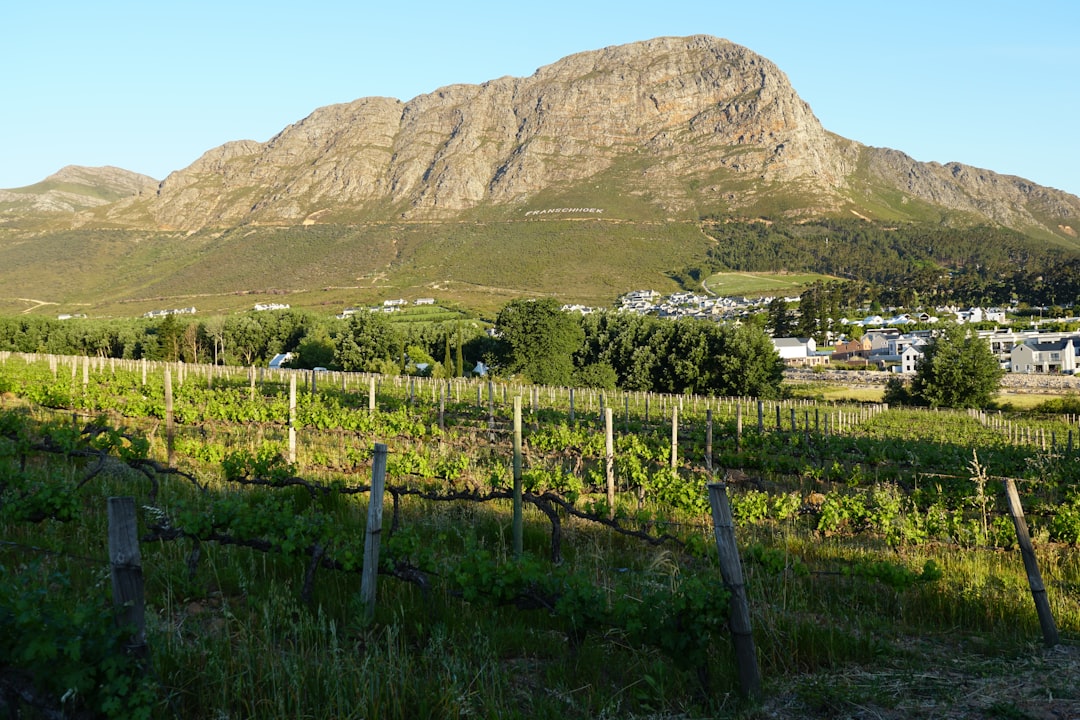 Franschhoek: Il Paradiso dei Vini in Sudafrica - Franschhoek | Secret World Trip Planner
