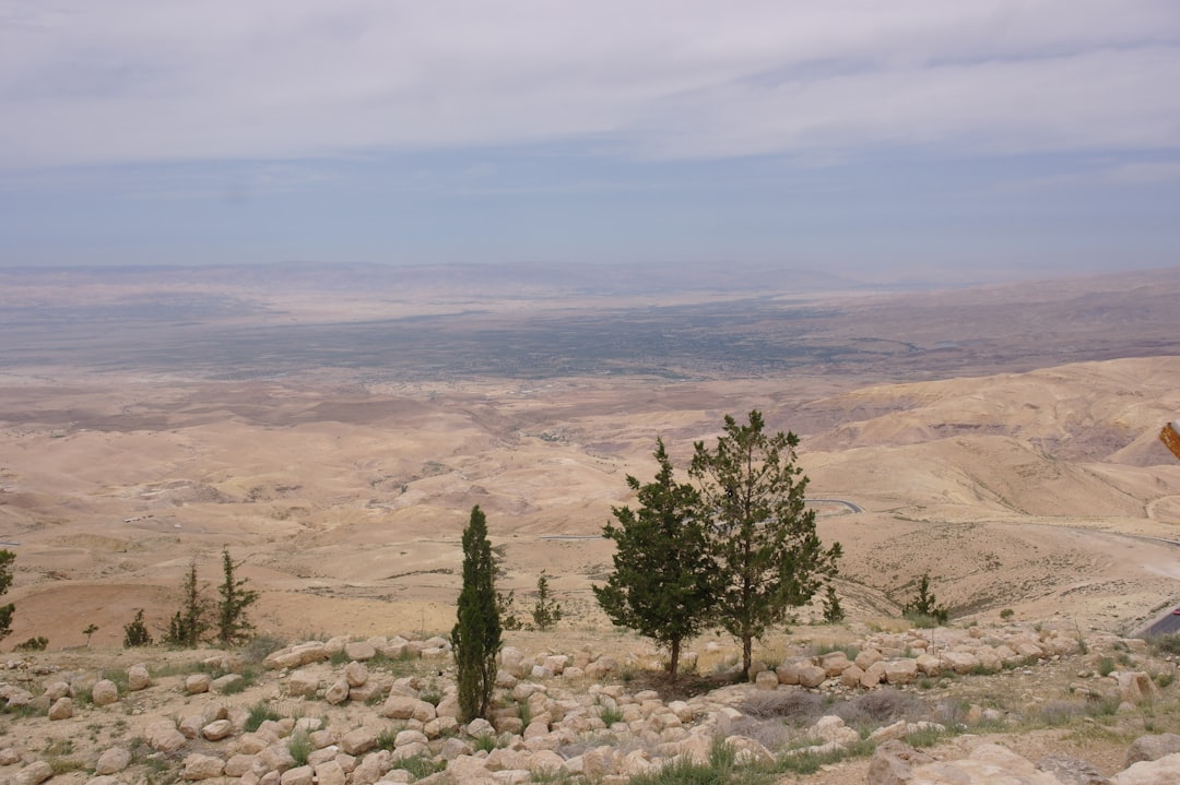 Explorando Kashkash: un rincón de naturaleza en Jordania — FCXV+MC Wadi Rum Village