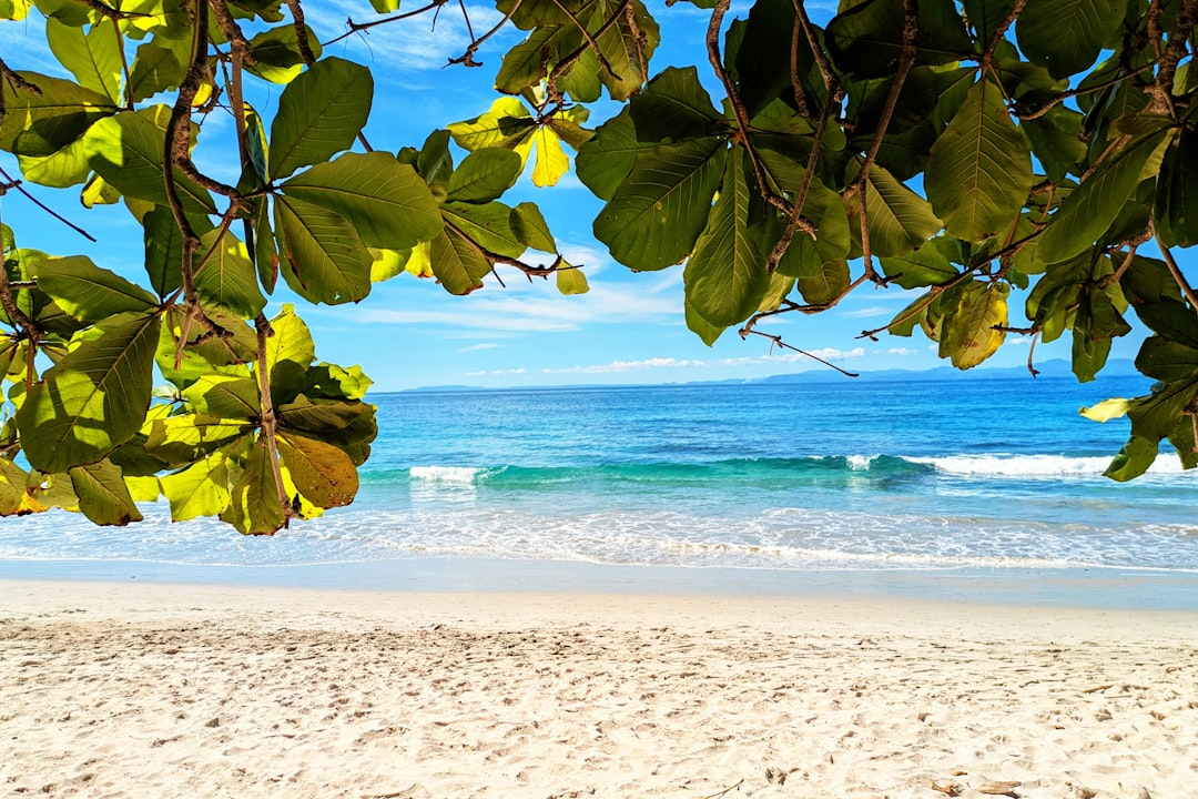 Esplorando Playa Blanca: un paradiso naturale in Costa Rica - Herradura | Secret World Trip Planner