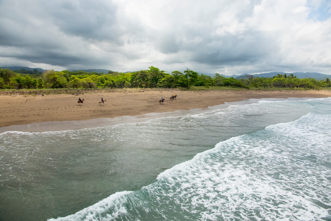 Explorer Playa Blanca : un paradis naturel au Costa Rica - Herradura | Secret World Trip Planner